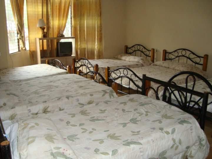 Hotel Alamo Internacional 圣萨尔瓦多 外观 照片