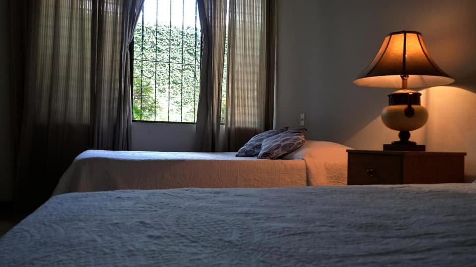 Hotel Alamo Internacional 圣萨尔瓦多 外观 照片