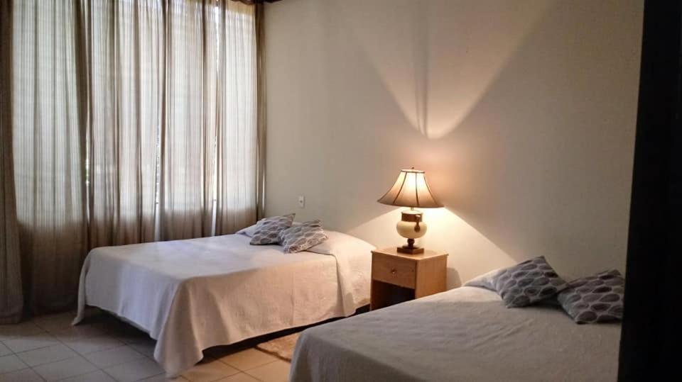 Hotel Alamo Internacional 圣萨尔瓦多 外观 照片