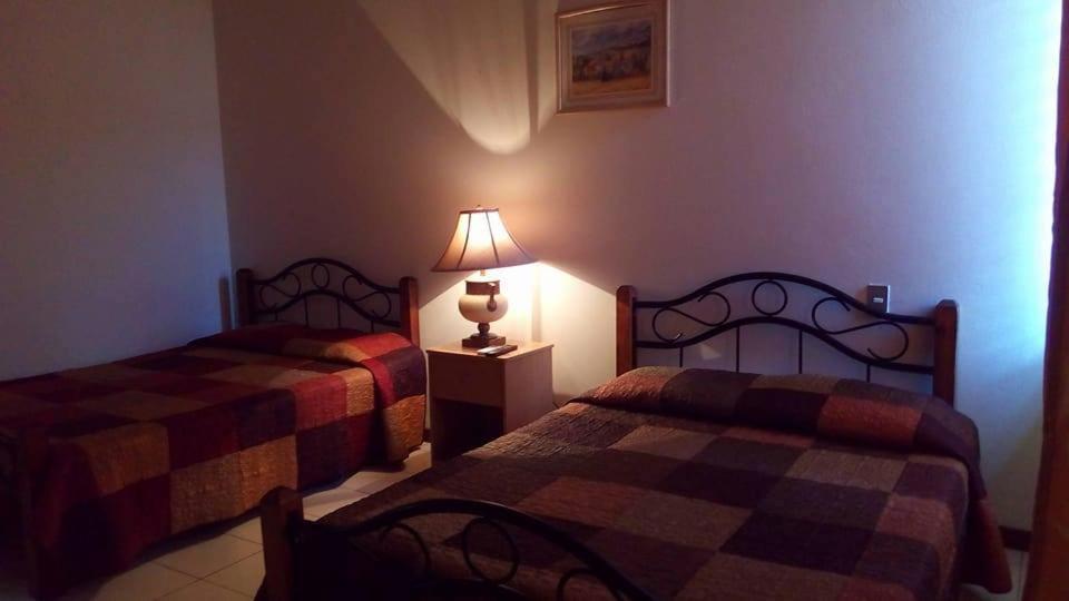Hotel Alamo Internacional 圣萨尔瓦多 外观 照片
