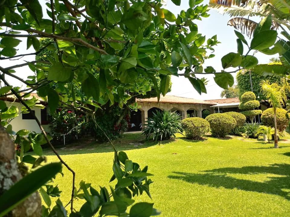 Hotel Alamo Internacional 圣萨尔瓦多 外观 照片