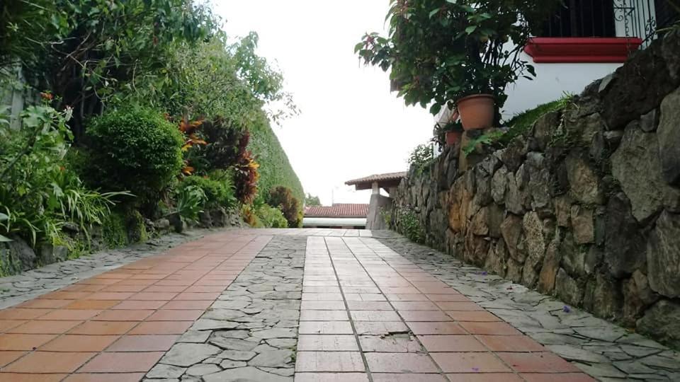 Hotel Alamo Internacional 圣萨尔瓦多 外观 照片