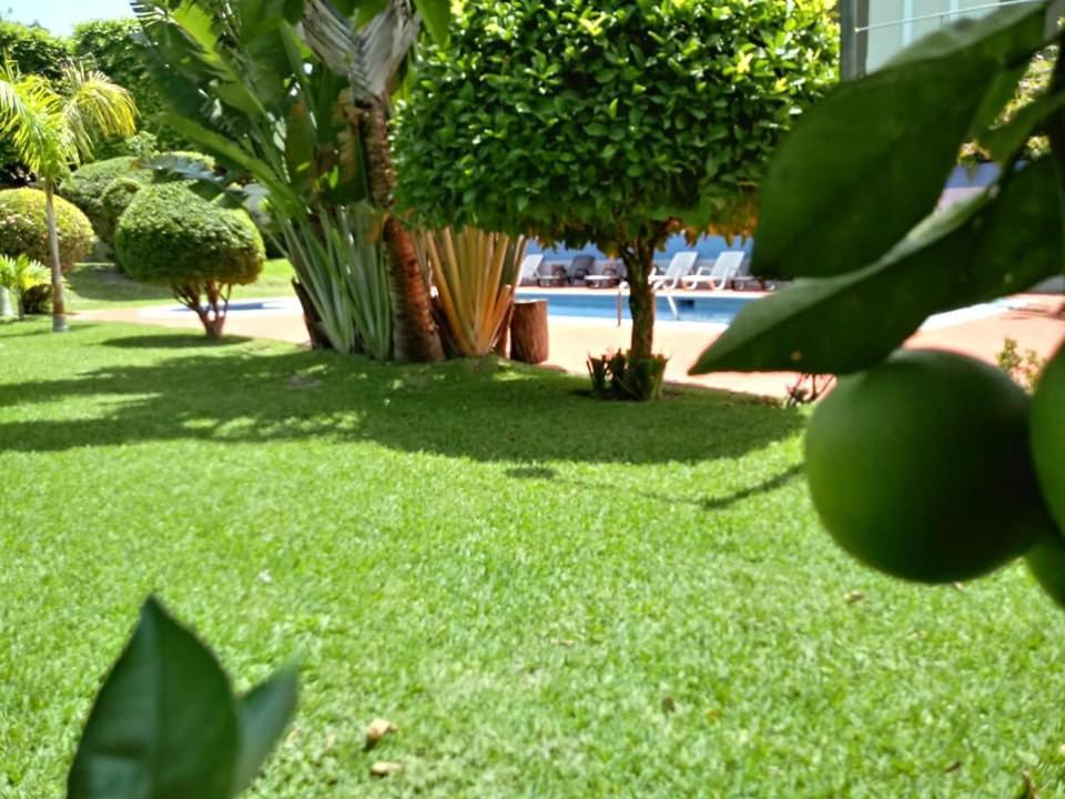 Hotel Alamo Internacional 圣萨尔瓦多 外观 照片