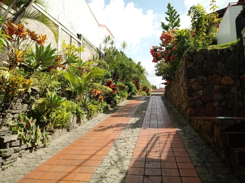 Hotel Alamo Internacional 圣萨尔瓦多 外观 照片